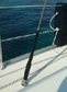 �n�b�d�`�m�@�I�[�V�����@���M���J�o�[