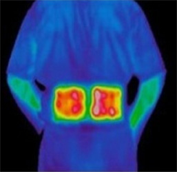 exo2�@�G�N�\�c�[�@�q�[�g�E�F�[�u�@���M���T�|�[�g