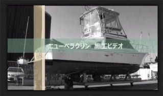 中国塗料 ニューペラクリン